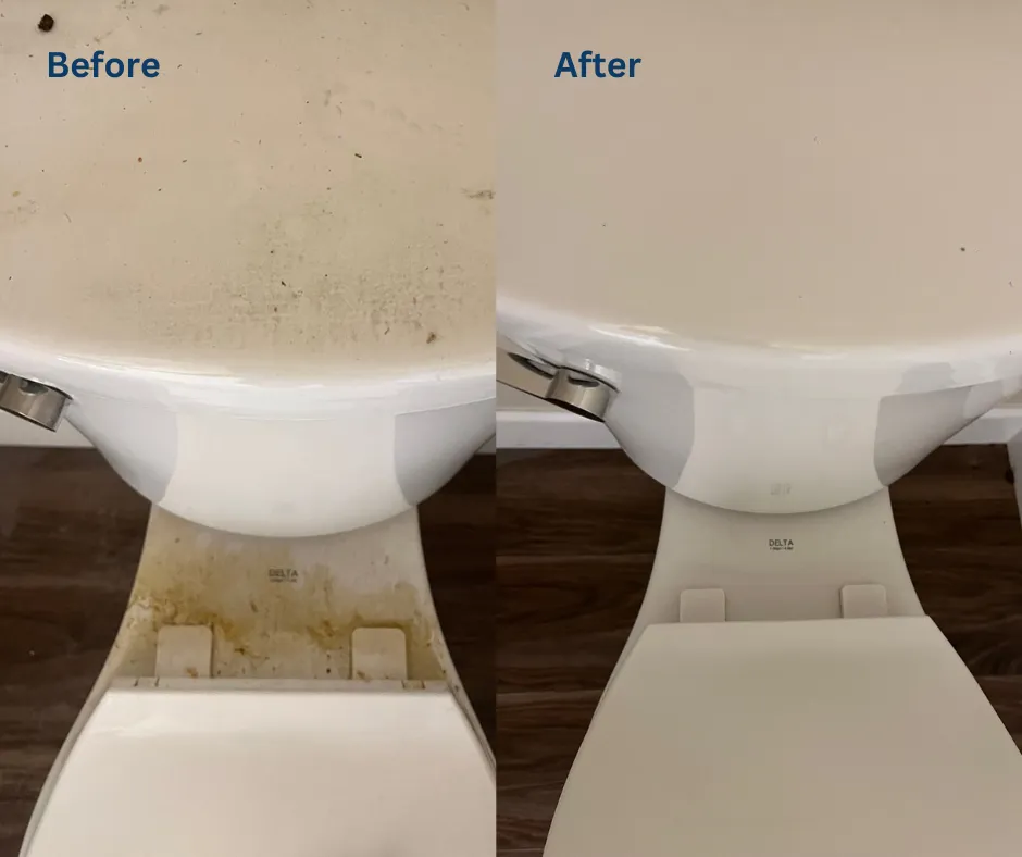 Toilet deep cleaning before and after